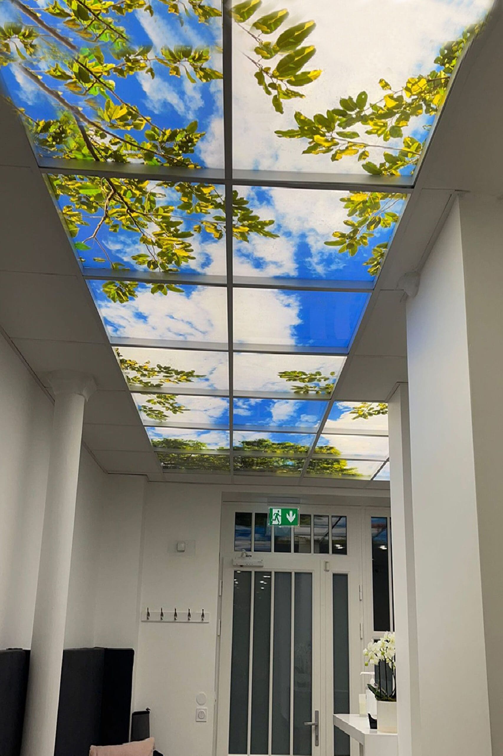 “Custom Printed Digital Light Panels for Modern LED Ceiling Design”