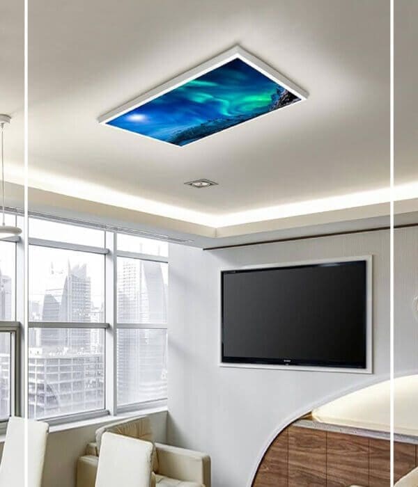 digital lights All Pics 01